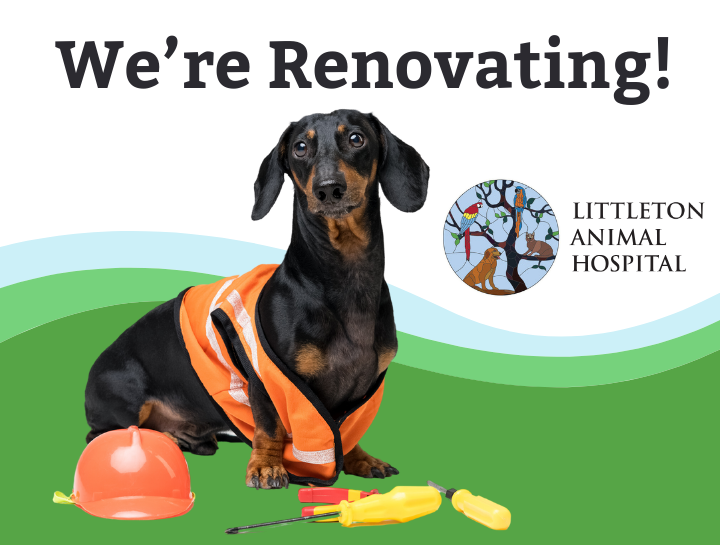 We're Renovating!